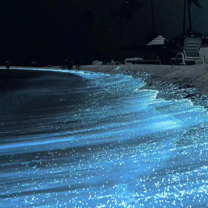 狂抽猛插内射视频
