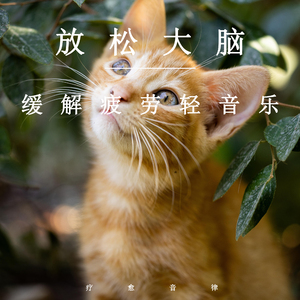 狂抽猛插内射视频
